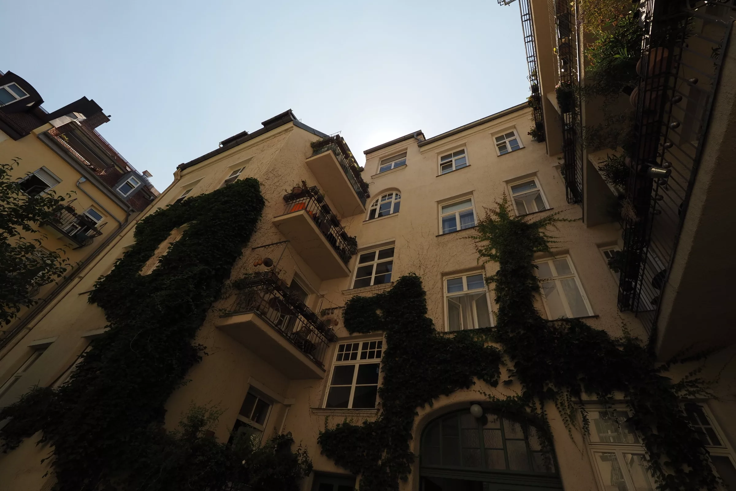 Blick aus dem Innenhof auf ein hohes mit Efeu bewachsenes Haus