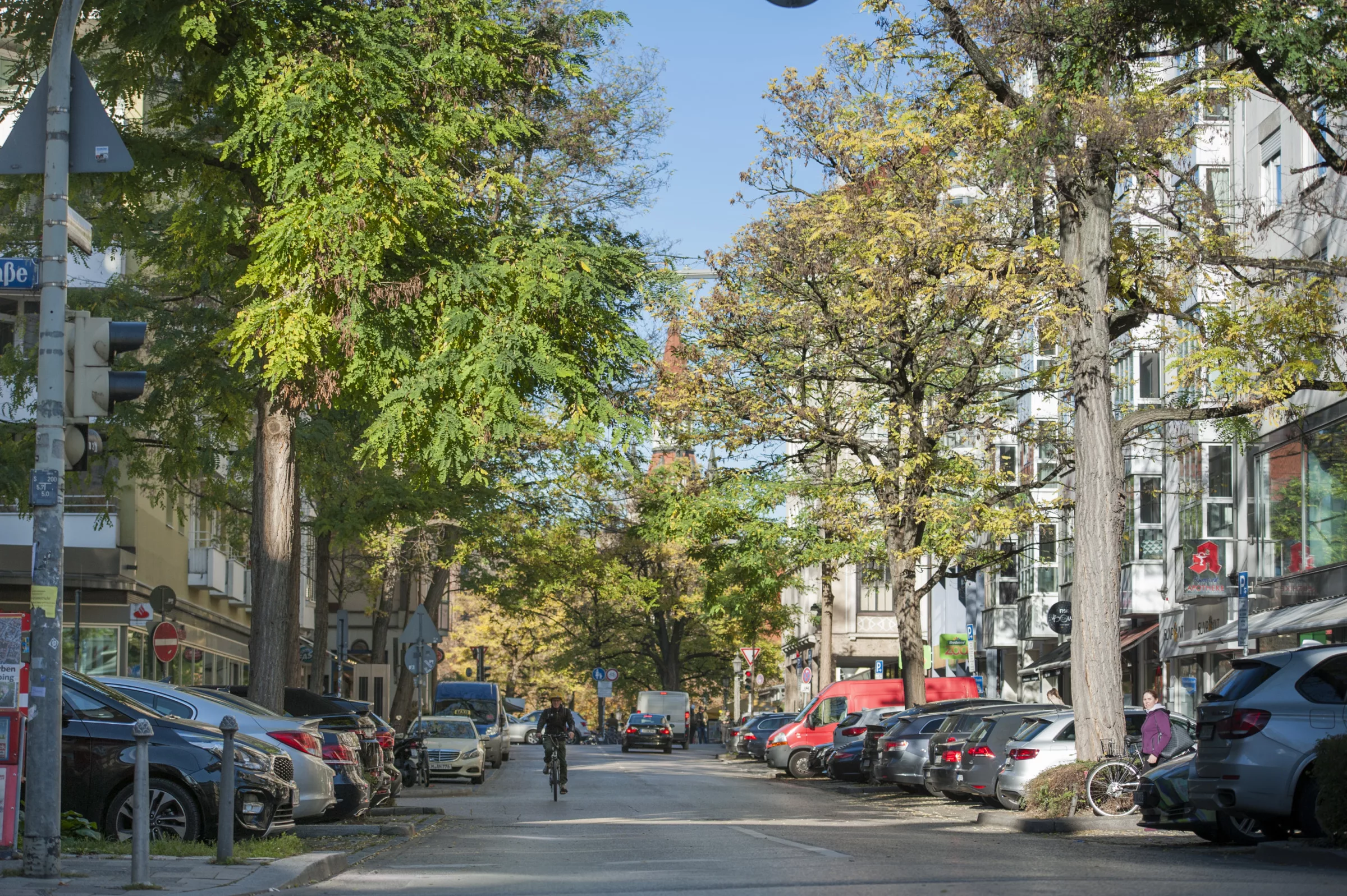 Straße mit vielen Bäumen in Freising