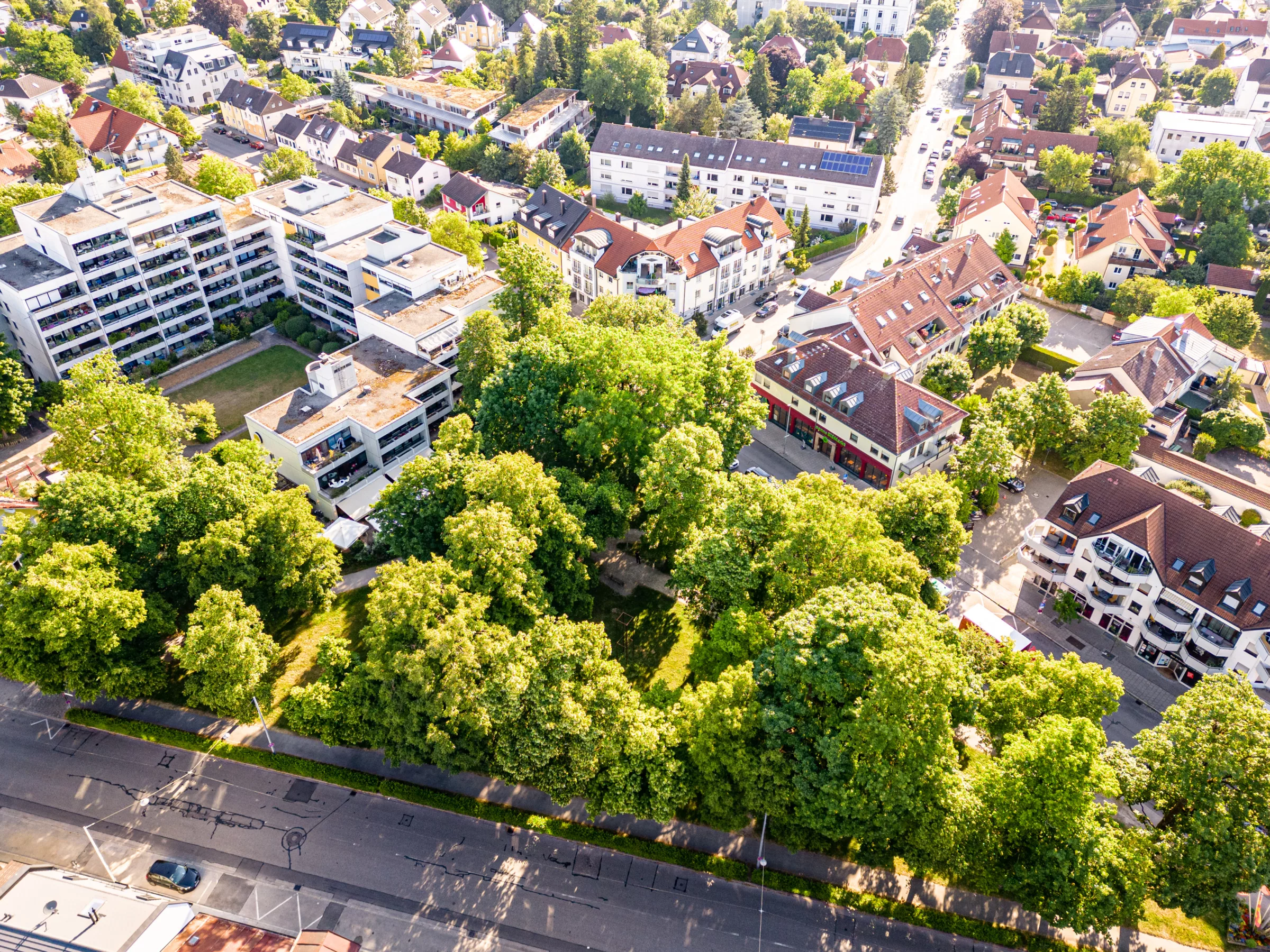 Luftaufnahme einer grünen Wohngegend mit Bäumen