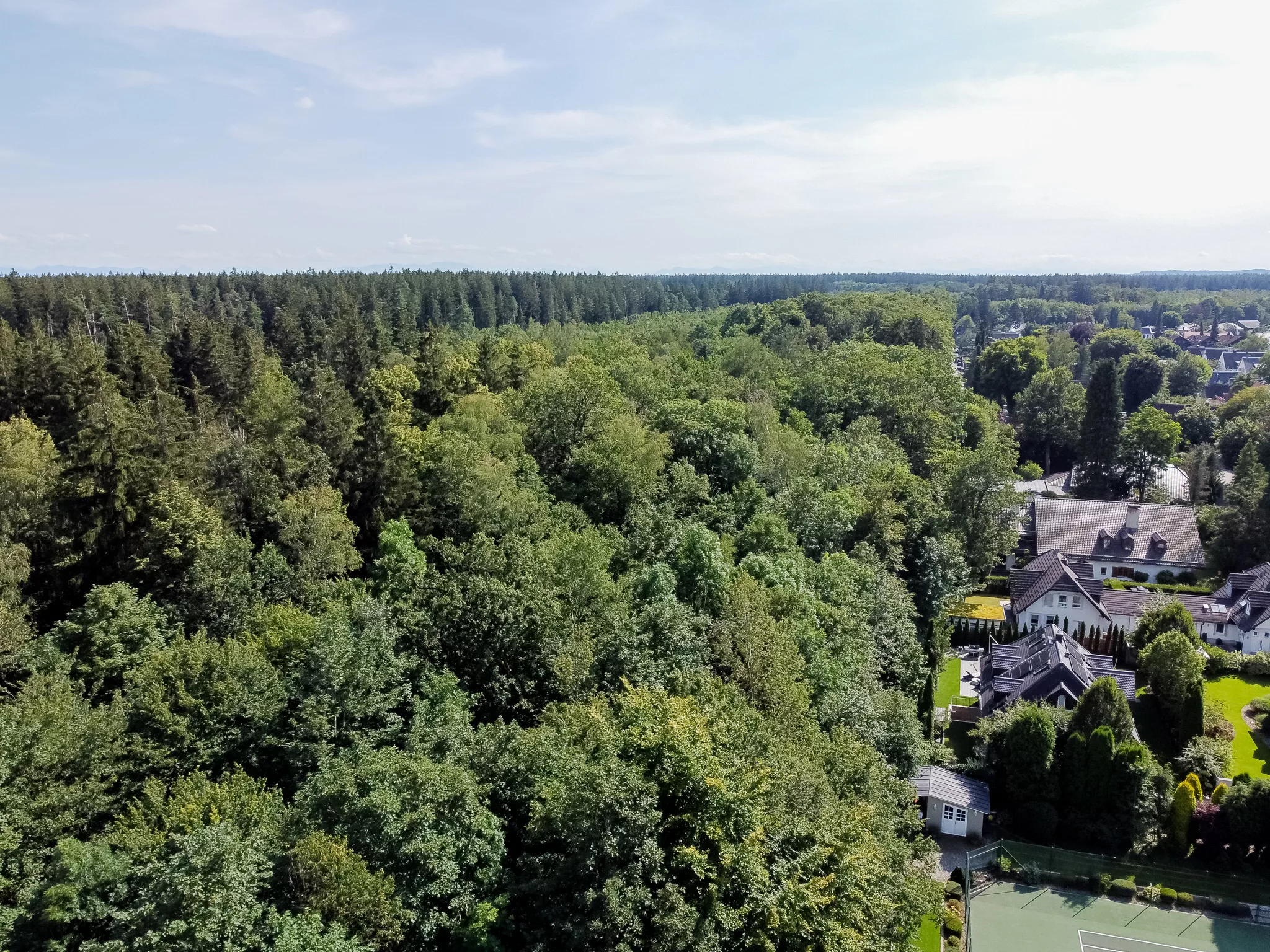 Luftaufnahme eines bewaldeten Gebiets mit Häusern.