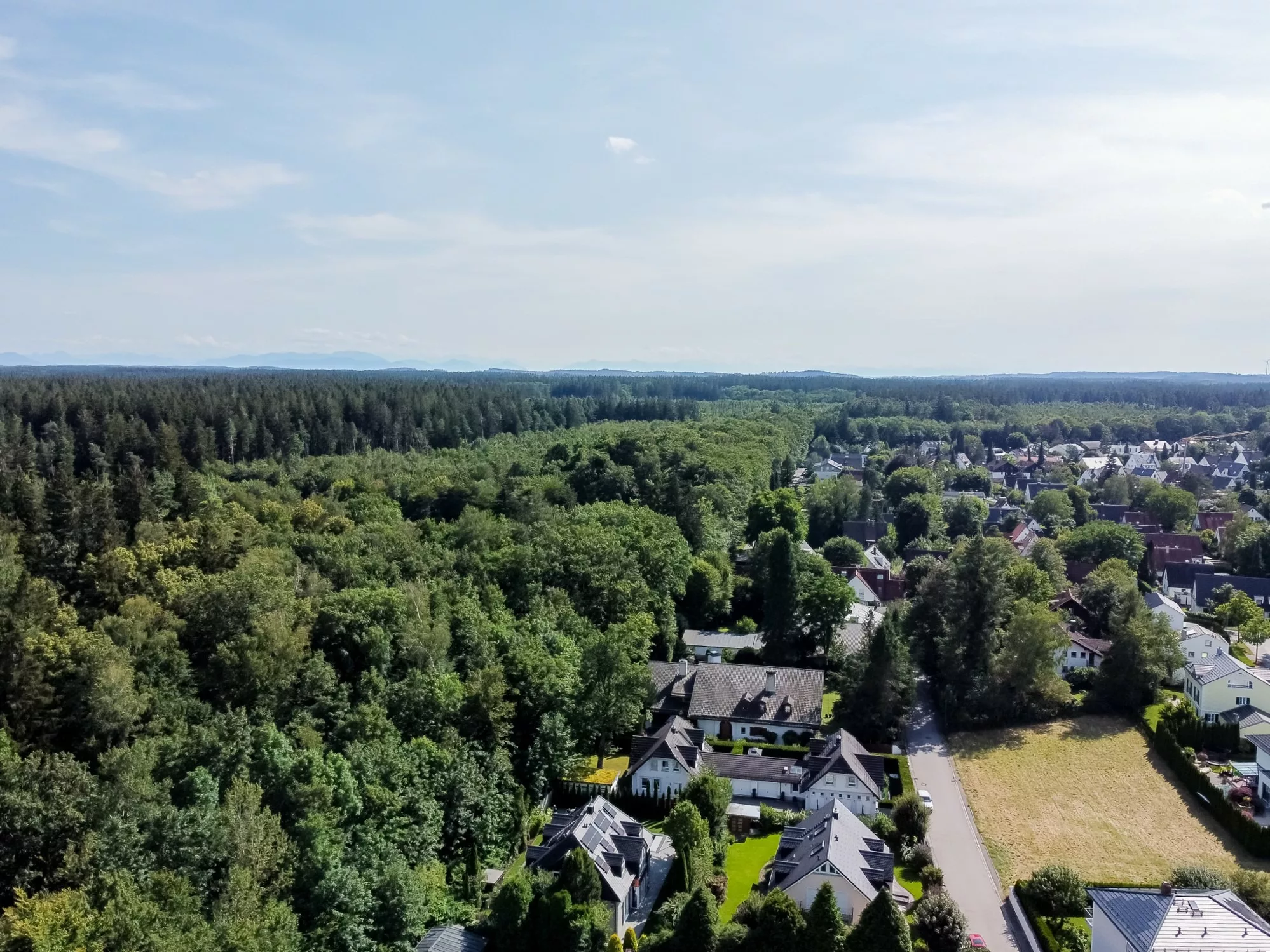 Luftaufnahme eines Waldes und Wohngebiets