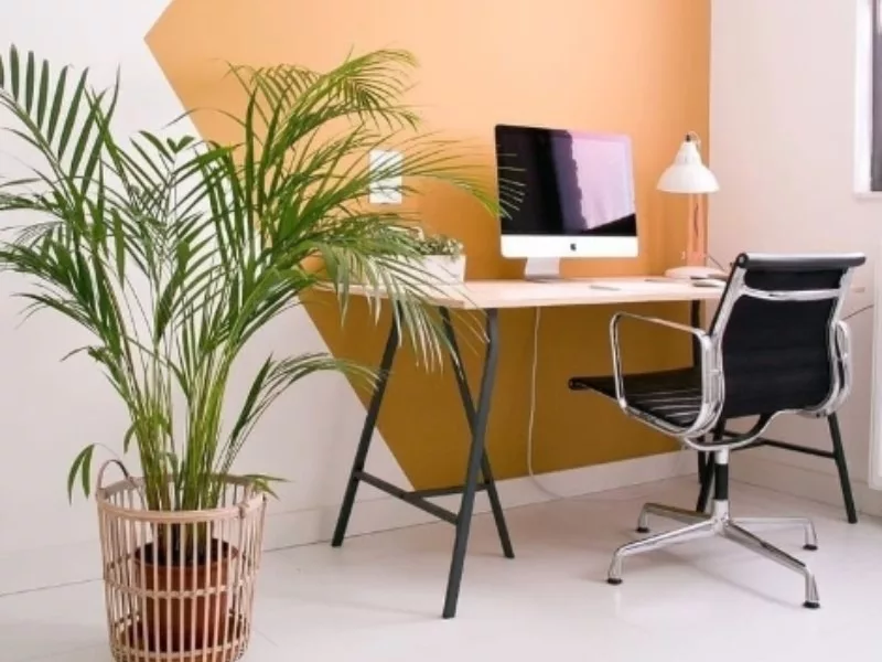 Moderne Büroeinrichtung mit Pflanzen und Computer