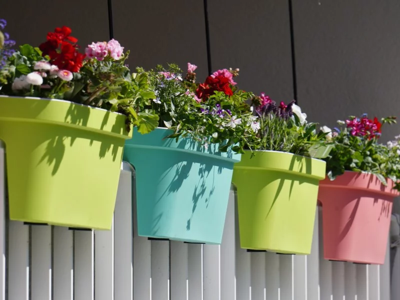 Bunte Blumenkästen mit blühenden Pflanzen am Zaun